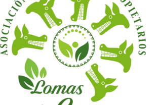 LOGO-ORIGINAL.png